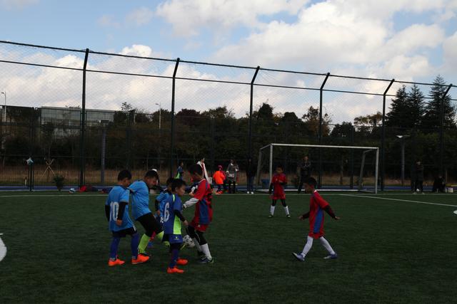 森林狼险胜快船终结4连败 魔术大胜篮网5连胜